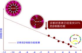 诊断前β细胞功能推算