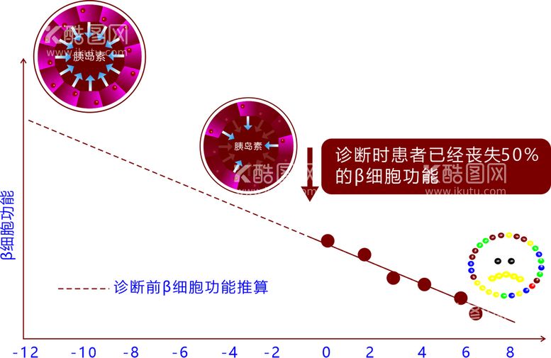 编号：35438011161734254556【酷图网】源文件下载-诊断前β细胞功能推算