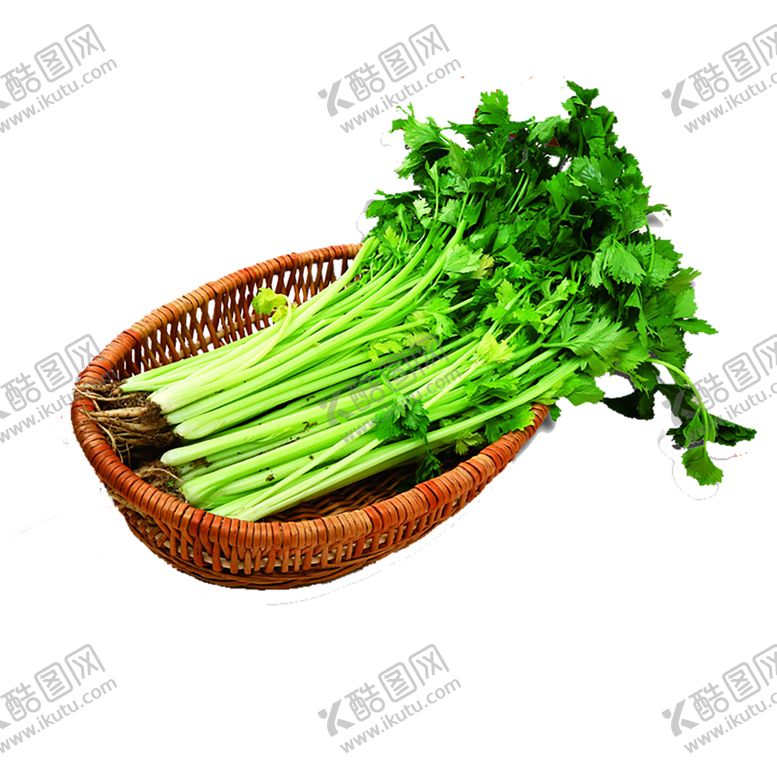 编号：65623307090042495326【酷图网】源文件下载-绿色植物