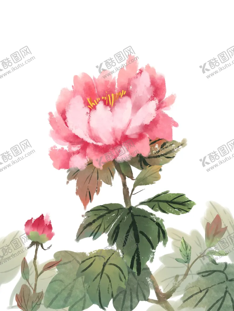 编号：40655304191050598169【酷图网】源文件下载-手绘牡丹插画
