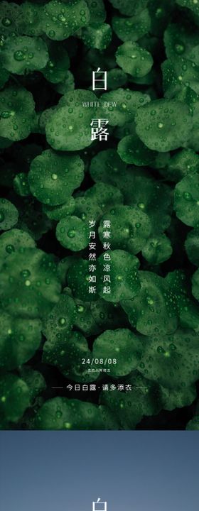 白露节气移动端海报风景二十四系列