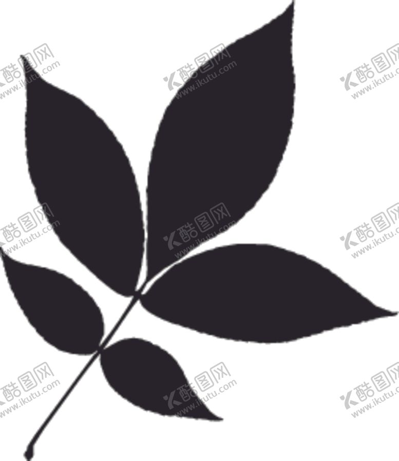 编号：14277207131525281510【酷图网】源文件下载-植物系列树叶