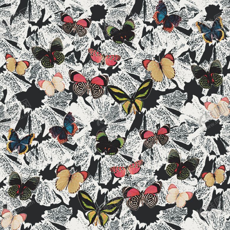 编号：30451609281826062727【酷图网】源文件下载-大牌抽象蝴蝶