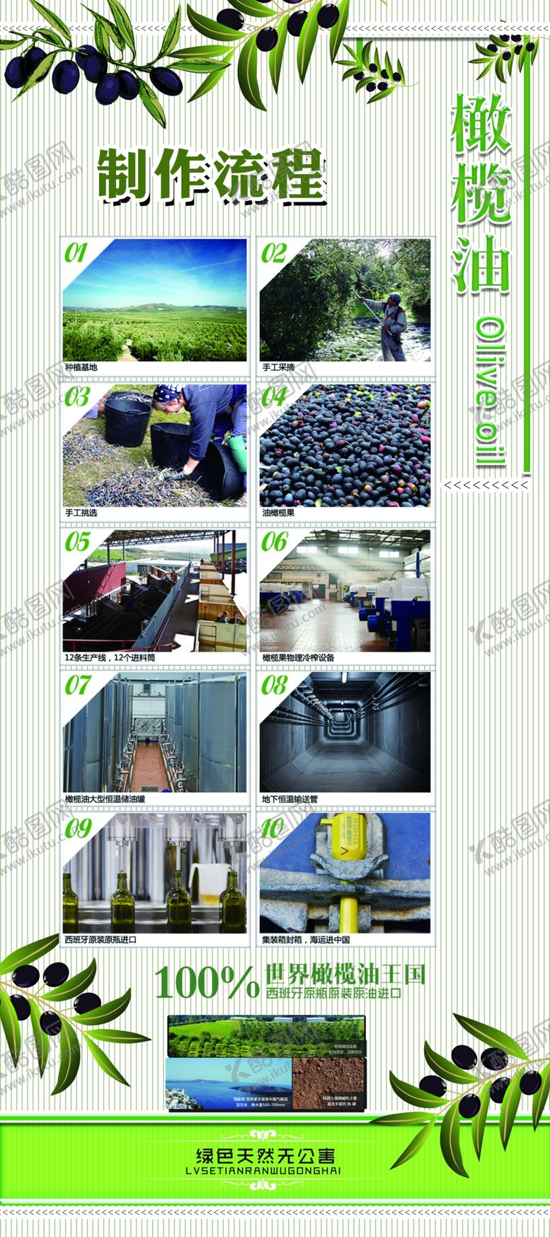 编号：13582010282019558822【酷图网】源文件下载-橄榄油展架