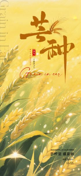 芒种海报