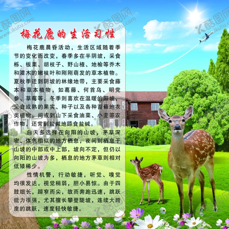 编号：61576606151641066354【酷图网】源文件下载-梅花鹿