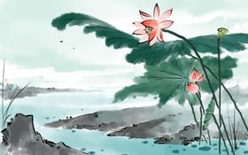 手绘荷花插画