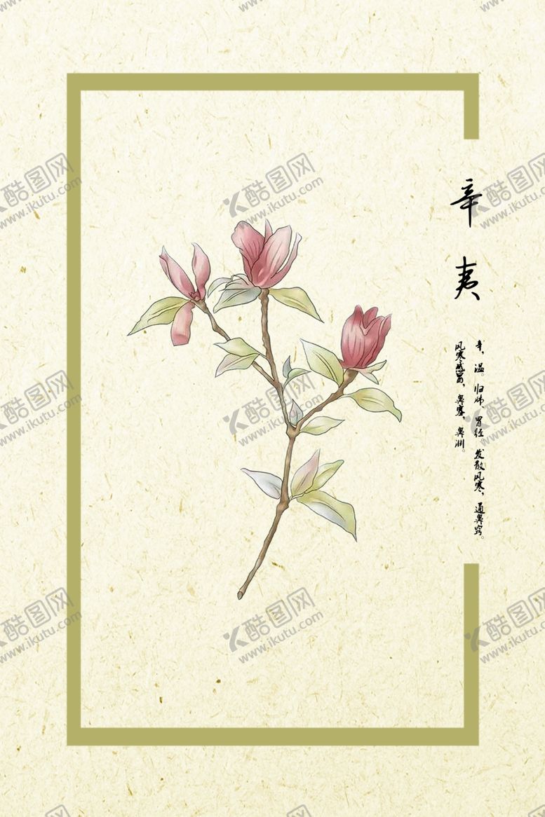 编号：87808807021543024232【酷图网】源文件下载-辛夷