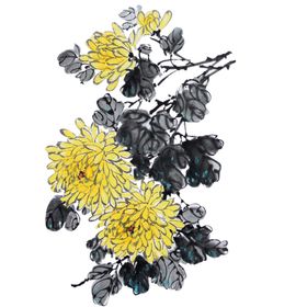 菊花素材