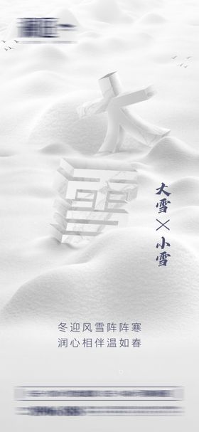 医美小雪大雪节气海报