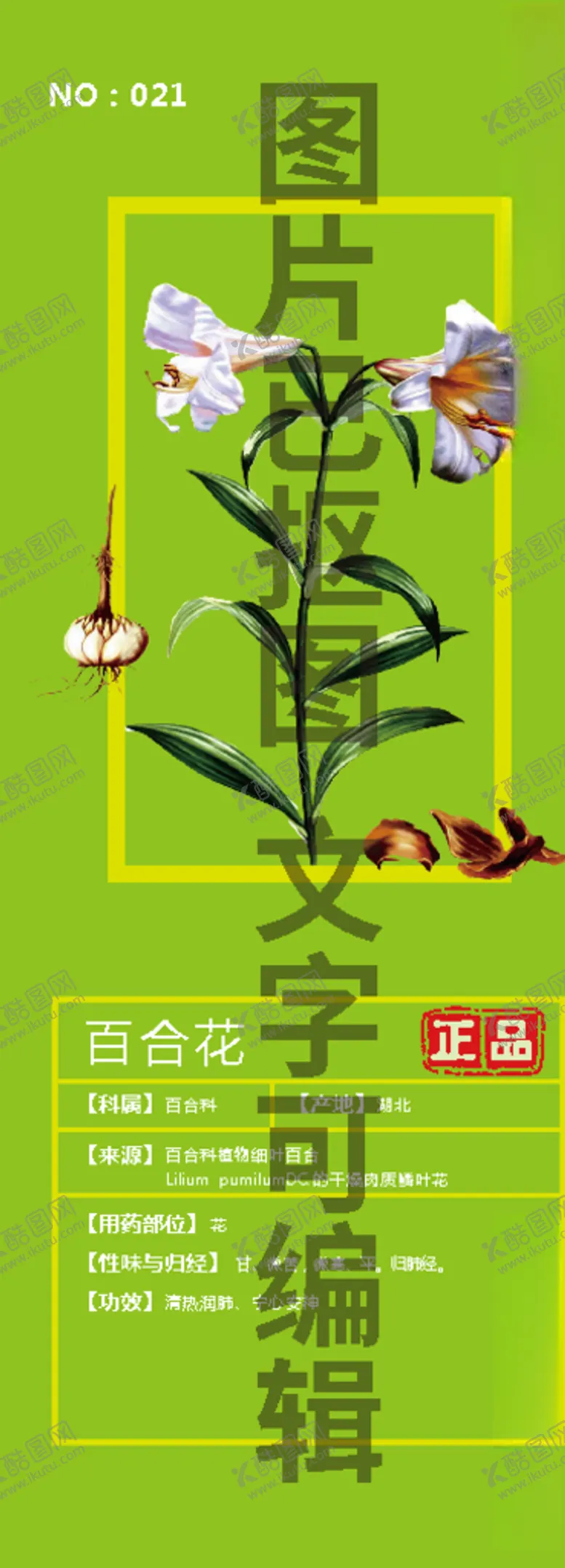 编号：64847906190627526420【酷图网】源文件下载-百合花