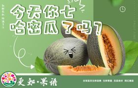 哈密瓜海报
