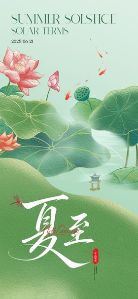 夏至时节荷花水乡美景