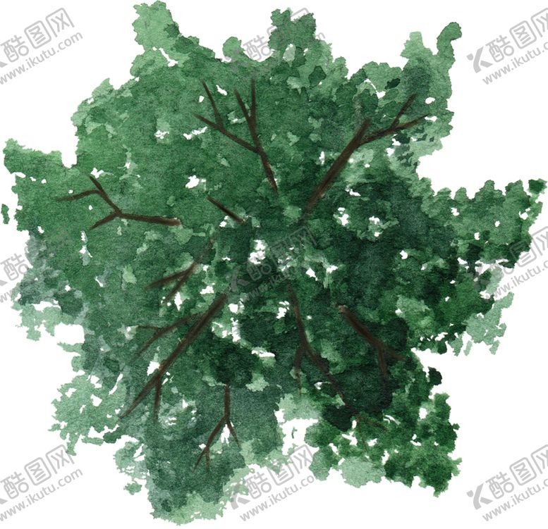 编号：73732209211550418150【酷图网】源文件下载-手绘植物