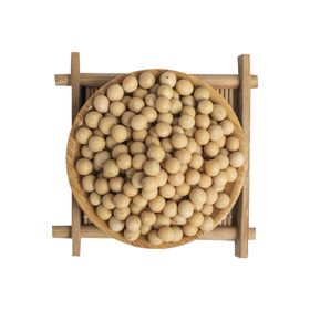 五谷杂粮海报谷物豆豆素材