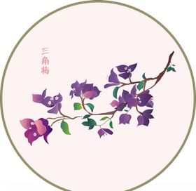 三角梅