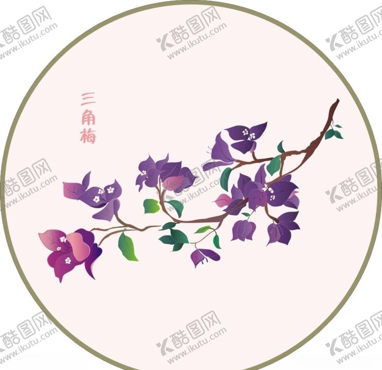 编号：36666905150415186690【酷图网】源文件下载-三角梅