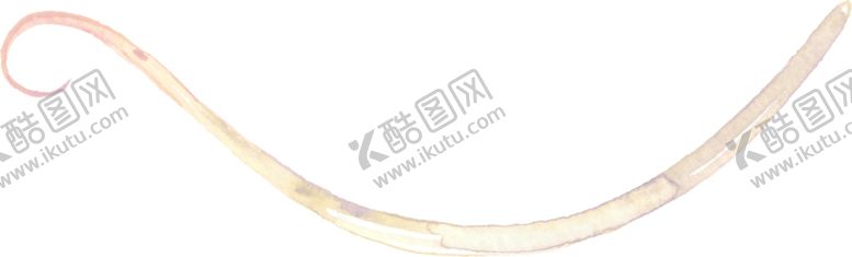 编号：33890910011046179684【酷图网】源文件下载-花枝