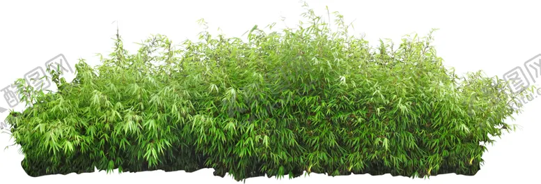 小草地草坪植物透明免扣PNG风景