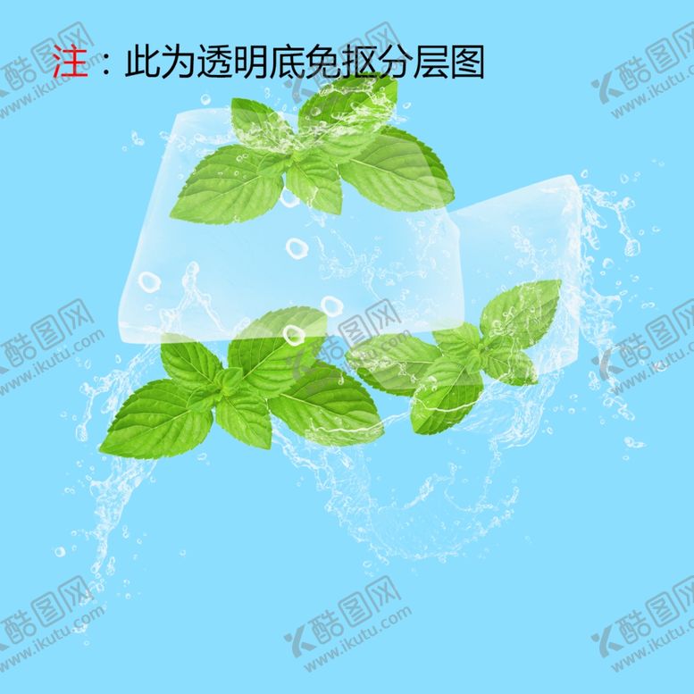 编号：11289305140243542786【酷图网】源文件下载-薄荷叶