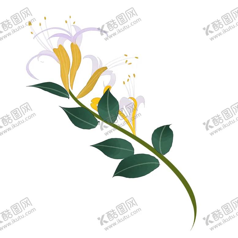 编号：74355204151652003707【酷图网】源文件下载-草本植物药材