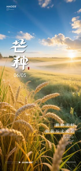 芒种节气移动端丰收海报
