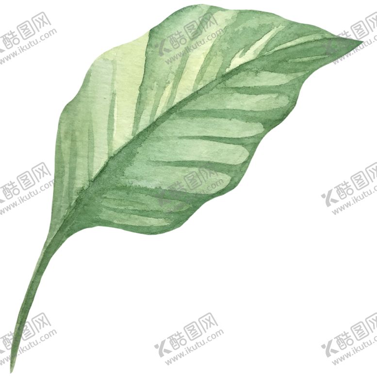 编号：83772406301606136777【酷图网】源文件下载-手绘植物