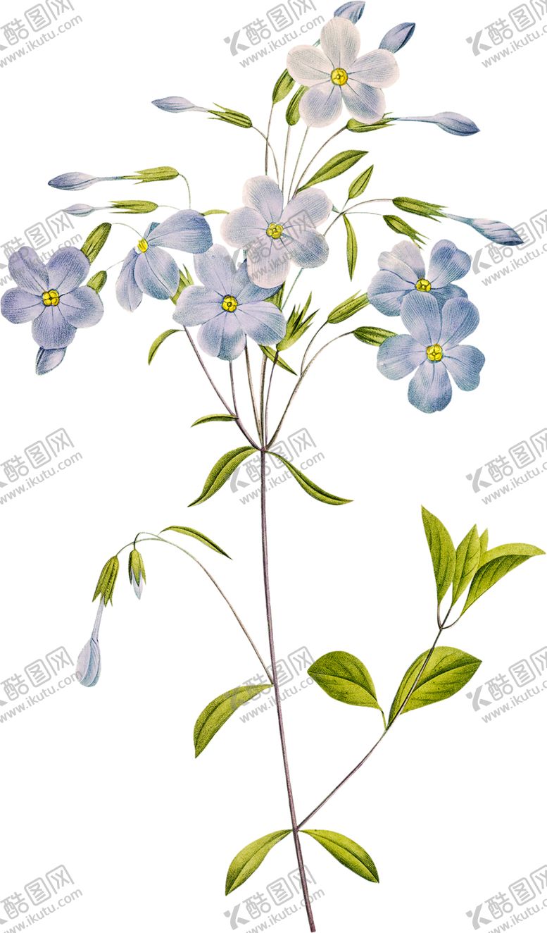 编号：70739902050442575660【酷图网】源文件下载-英式复古玫瑰花卉艺术装饰PNG
