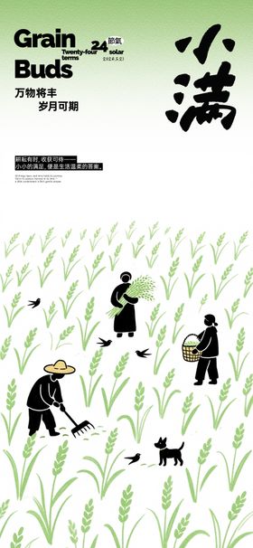 小满稻田插画海报