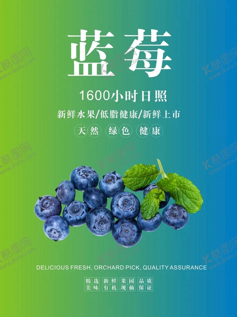 编号：29775801291428412498【酷图网】源文件下载-蓝莓海报