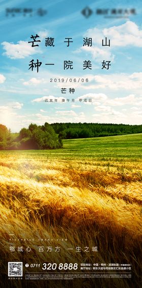 芒种海报