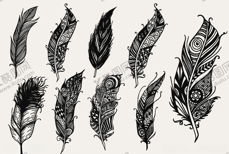 编号：69683609280909553367【酷图网】源文件下载-羽毛