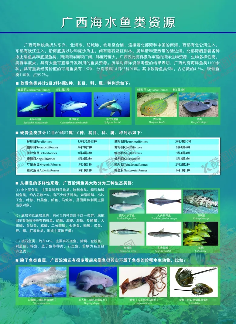 编号：76862602221815042224【酷图网】源文件下载-广西海水鱼