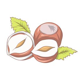 核桃手绘简笔图案