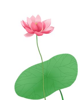 荷花元素