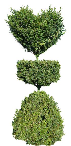 绿色树木植物素材