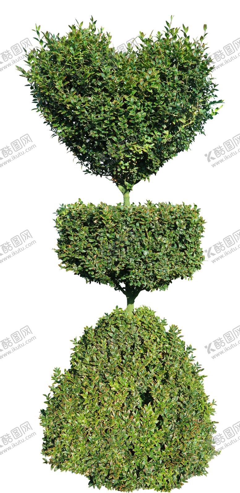编号：63136106242118298380【酷图网】源文件下载-绿色树木植物素材