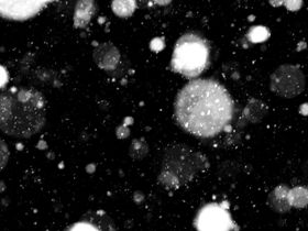 雪花