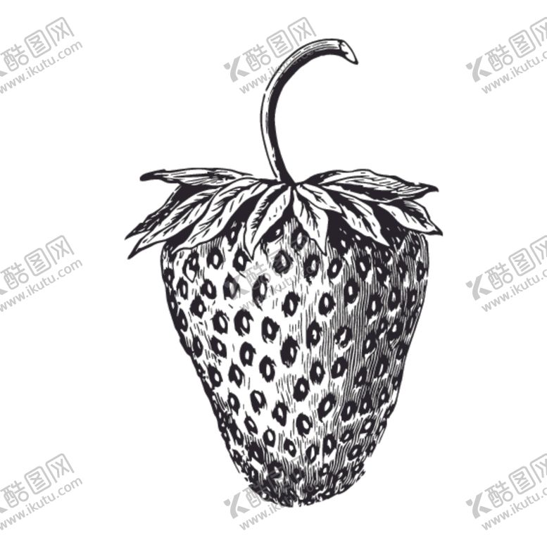 编号：20501210042045111645【酷图网】源文件下载-水果绘画线稿图案