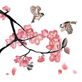 中国风桃花鸟插画