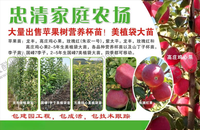 编号：95561709220230074736【酷图网】源文件下载-宣传彩页