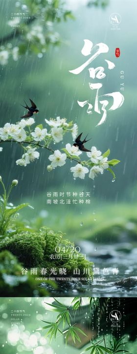 谷雨节气海报