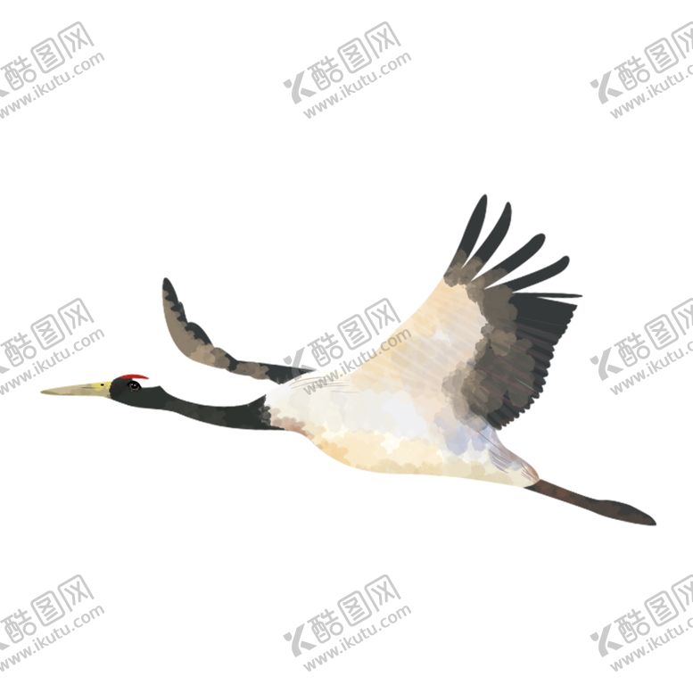 编号：35521704260951566017【酷图网】源文件下载-中国风仙鹤丹顶鹤古风古典元素图