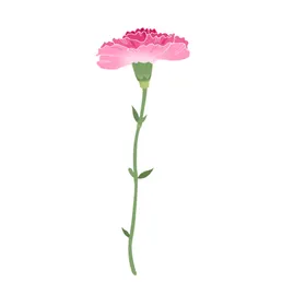 手绘花坏