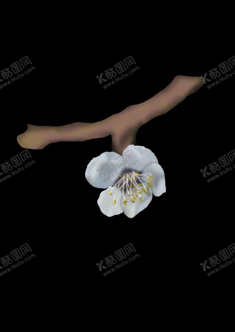 编号：94967510190734426668【酷图网】源文件下载-杏花