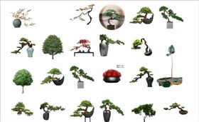 植物相框合集