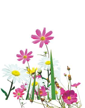 小花