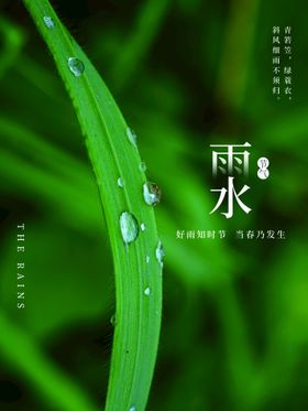 编号：08652310060657345386【酷图网】源文件下载-雨水