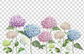 花朵素材朵图案免扣鲜卉图案