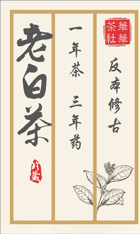 老白茶